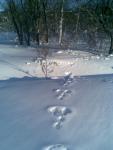 природа.. природа..