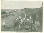 Статья Ч.Г.Хоуза 1903 год. Статья Ч.Г.Хоуза 1903 год.
