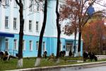 На прием На прием
